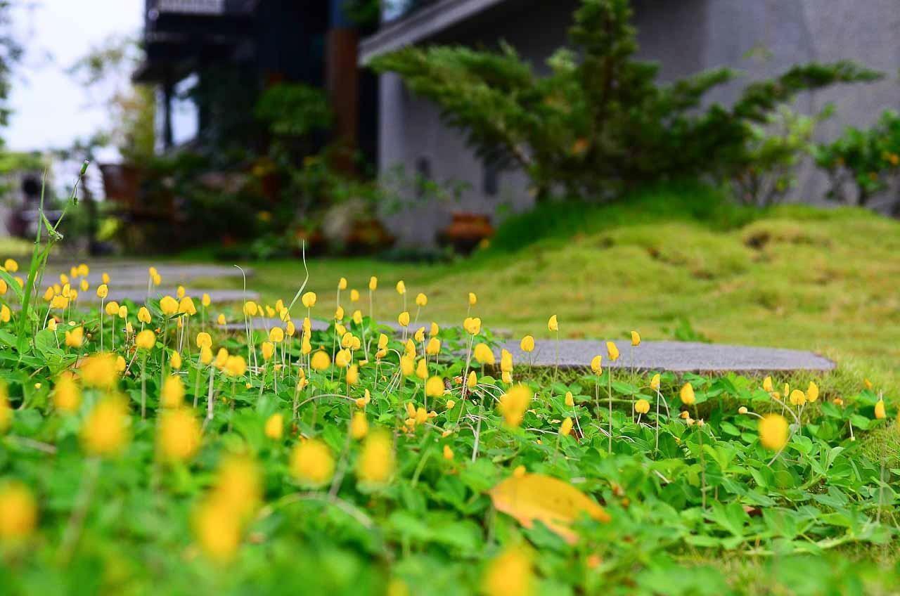 建築師 湧泉 泡湯 會館 Apartment Dongshan  Exterior foto